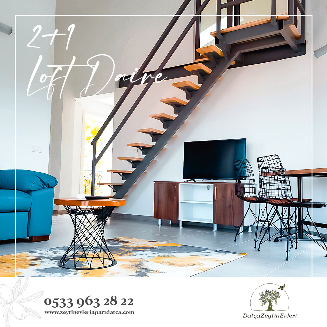 zeytin-evleri-2 kopyası