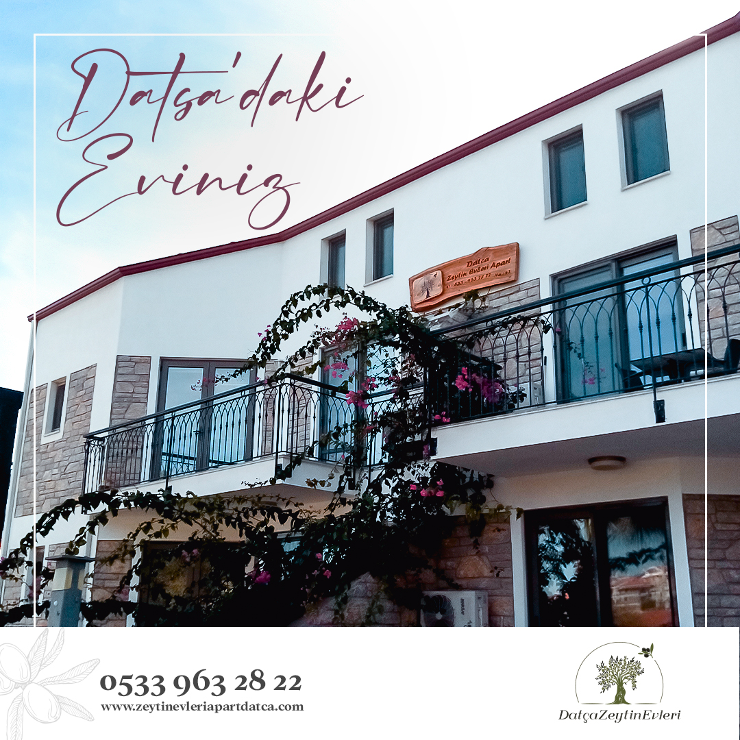 zeytin-evleri-4 kopyası